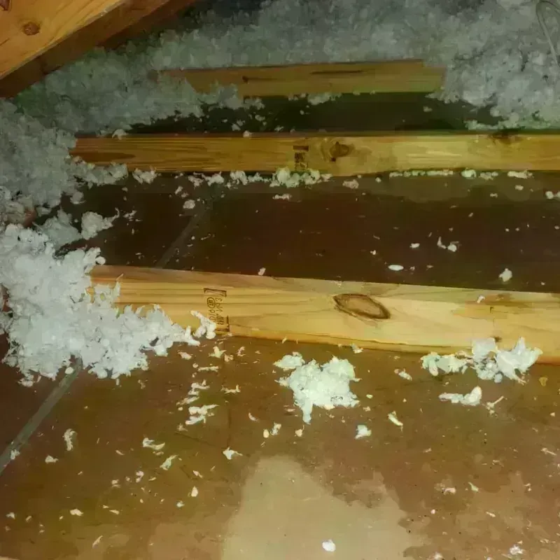 Attic Water Damage in Los Banos, CA